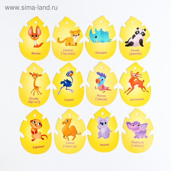 Карточки на кольце для изучения английского языка &laquo;Джунгли и сафари&raquo;, 20 карт, кольцо, 3+
