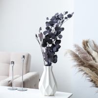 Сухоцвет персикого дерева, 50 г, длина &mdash; 70 см, цвет фиолетовый