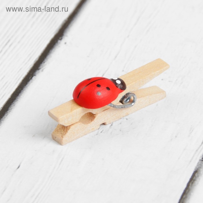 Прищепки «Божьи коровки», цвет МИКС, набор 16 шт. Прищепки «Божьи коровки», цвет МИКС, набор 16 шт.