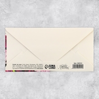 Набор микс конверты для денег «Поздравляю», для прекрасных дам Набор микс конверты для денег «Поздравляю», для прекрасных дам