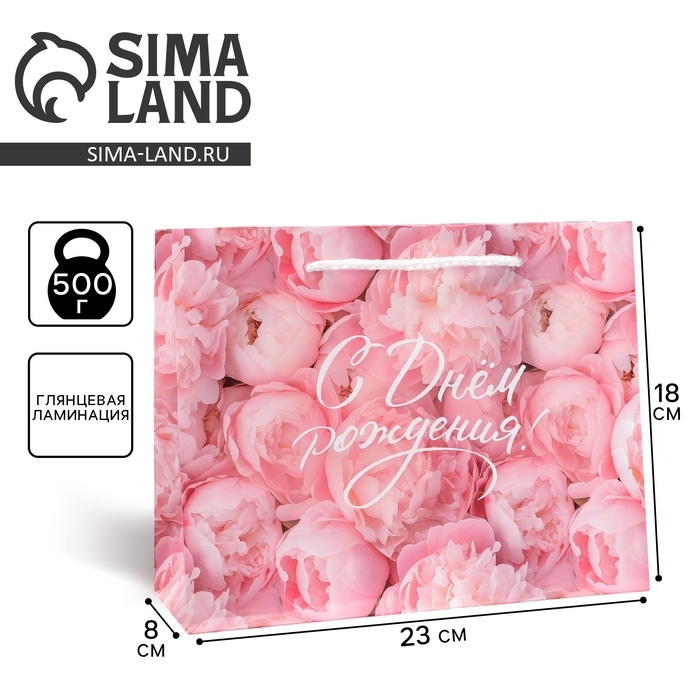 Пакет подарочный ламинированный, упаковка, &laquo;С Днём рождения!&raquo;, MS 23 х 18 х 8 см