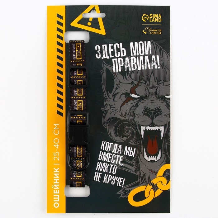 Ошейник &laquo;Осторожно&raquo;, застёжка - фастекс, 2 см 25-40 см