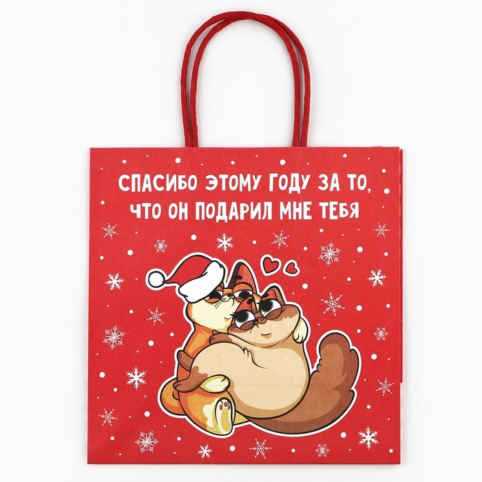 Пакет подарочный новогодний &laquo;Спасибо этому году&raquo;, 22 х 22 х 11 см