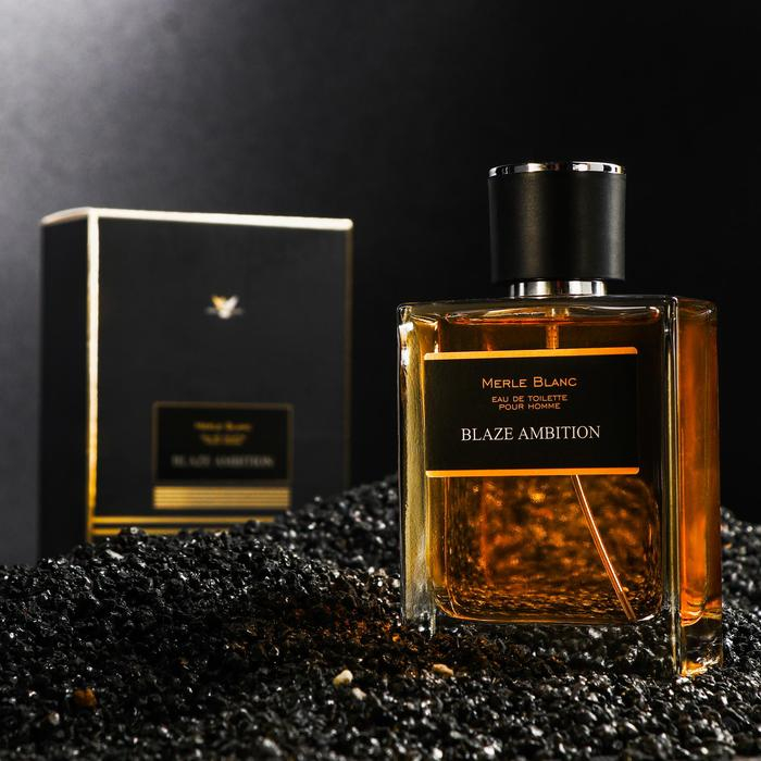 Туалетная вода мужская Merle blanc BLAZE AMBITION, 100 мл Туалетная вода мужская Merle blanc BLAZE AMBITION, 100 мл