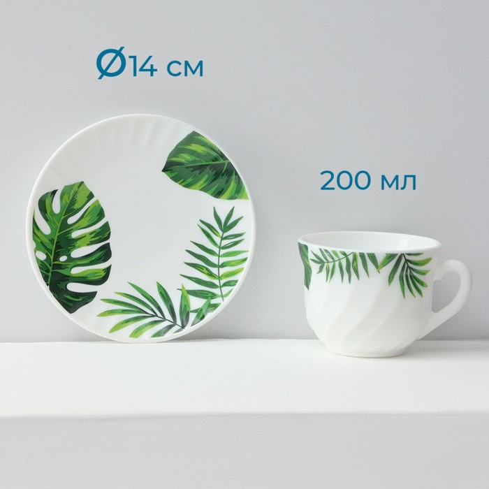 Сервиз столовый &laquo;Лист папоротника&raquo;, 37 предметов, стеклокерамика