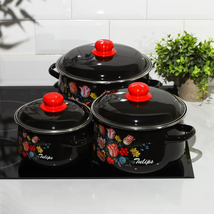 Набор эмалированных кастрюль &laquo;Букет тюльпанов&raquo;, 3 предмета: 2 л, 4 л, 5,5 л, индукция