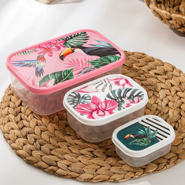 Набор контейнеров пищевых Доляна &laquo;Тропики&raquo;, 3 шт: 150 мл, 500 мл, 1,2 л, прямоугольные