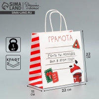 Пакет подарочный новогодний крафтовый «Молодец», 22 х 22 х 11 см, Новый год Пакет подарочный новогодний крафтовый «Молодец», 22 х 22 х 11 см, Новый год