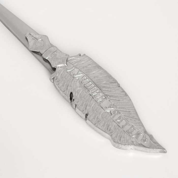 Ложка с фигурной ручкой «Лучшему учителю», 3 х 17 см. Ложка с фигурной ручкой «Лучшему учителю», 3 х 17 см.