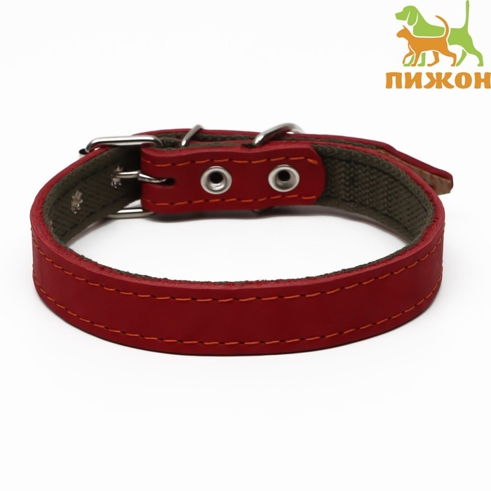 Ошейник комбинированный кожа/брезент, 53 х 2.5 см, ОШ 35-45 см, красный