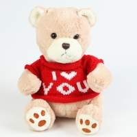 Мягкая игрушка &laquo;Мишка&raquo; в кофте, 25 см