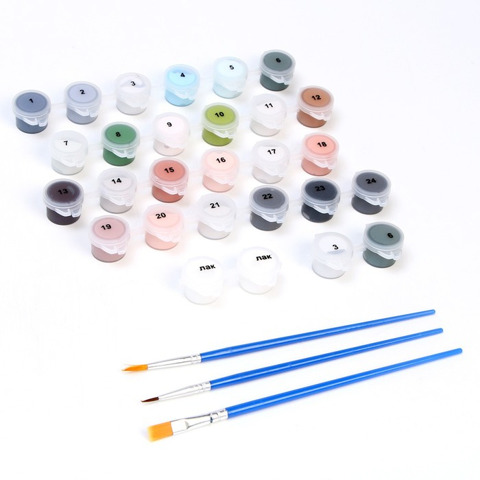 Картина по номерам на холсте с подрамником &laquo;Девушка в Амстердаме&raquo;, 40 х 50 см