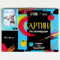 Картина по номерам на холсте с подрамником &laquo;Пёс на ковре&raquo;, 40х30 см