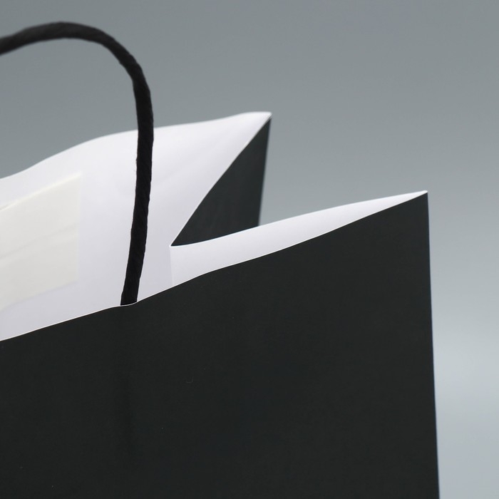 Пакет подарочный крафтовый, упаковка, &laquo;Пездей тебе&raquo;, 28 х 32 х 15 см