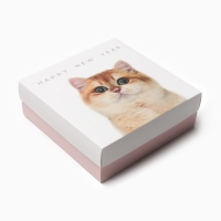 Подарочный набор маска и носки KAFTAN "Киса" р, 36-39 (23-25 см)