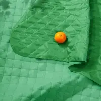 Плед для пикника Soft & Dry, светло-зеленый Плед для пикника Soft & Dry, светло-зеленый