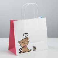 Пакет подарочный крафтовый, упаковка, &laquo;Котик&raquo;, 25 х 22 х 12 см
