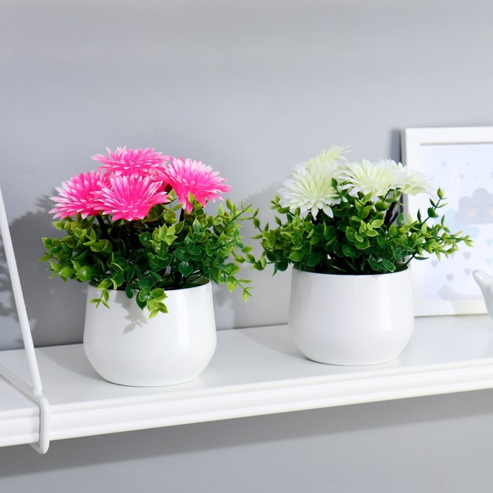 Бонсай в горшке "Хризантемки" 9х18 см, микс