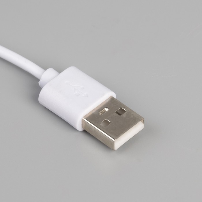 Светодиодная лента Luazon Lighting с сенсорным выключателем 5 м, IP65, SMD2835, 60 LED/м, USB, 3000К Светодиодная лента Luazon Lighting с сенсорным выключателем 5 м, IP65, SMD2835, 60 LED/м, USB, 3000К