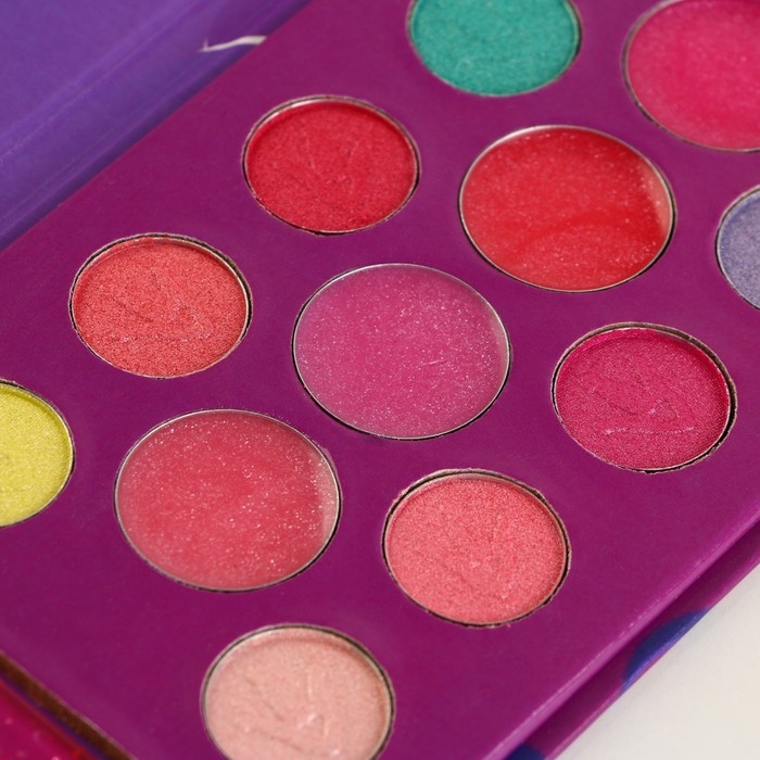 Набор косметики &laquo;Стильные девчонки&raquo;, тени 10 цв по 1,3 гр, блеск 4 цв по 0,8 гр