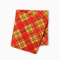 Полотенце Шотландка 35х60см, вафля 120г/м, хл100%