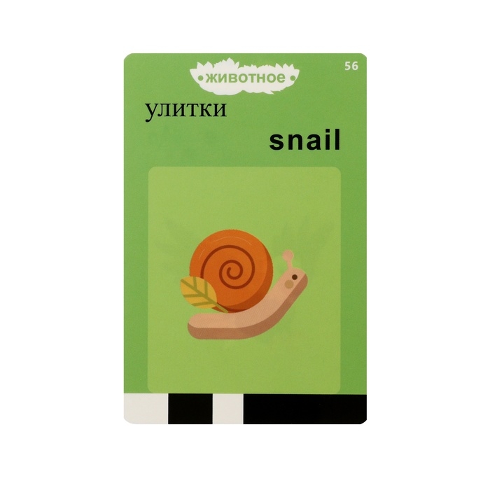 Интерактивная игра для изучения английского языка Windigo,112 двусторонних карточек,розовая Интерактивная игра для изучения английского языка Windigo,112 двусторонних карточек,розовая