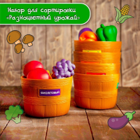Набор для сортировки &laquo;Разноцветный урожай&raquo;, по методике Монтессори