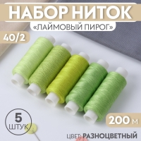 Набор ниток &laquo;Лаймовый пирог&raquo;, 40/2, 200 м, 5 шт, цвет разноцветный