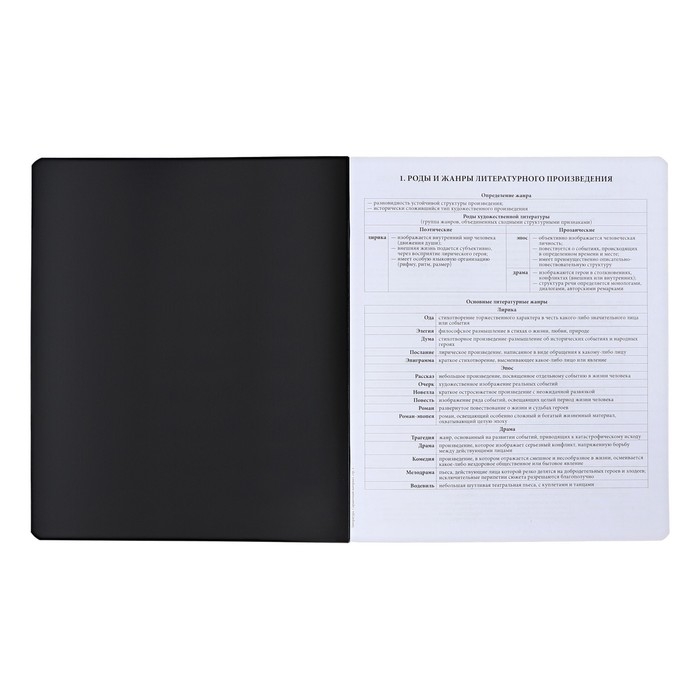 Тетрадь предметная ЛИТЕРАТУРА, 48 листов в линейку, ErichKrause Тетрадь предметная ЛИТЕРАТУРА, 48 листов в линейку, ErichKrause "Зри в корень", пластиковая обложка, шелкография, блок офсет 100% белизна, инфо-блок