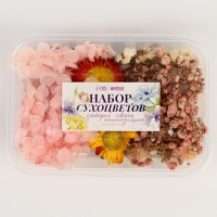 Набор сухоцветов &laquo;Розовое облако&raquo;