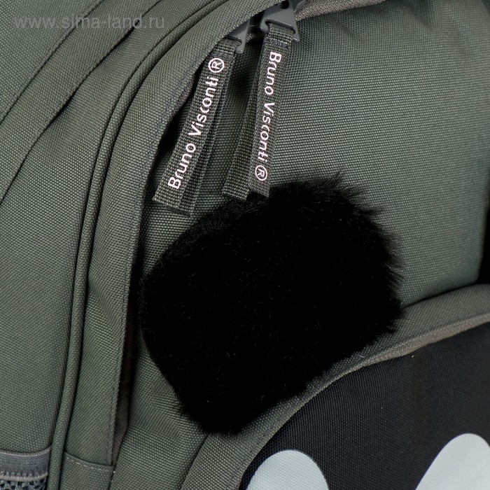 Рюкзак школьный Bruno Visconti "Панда моя!", 40 х 30 х 19 см, эргономичная спинка, пенал в подарок