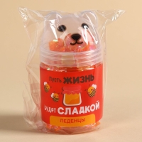 Леденцы в банке - мишка &laquo;Пусть жизнь будет сладкой&raquo;, 50 г.