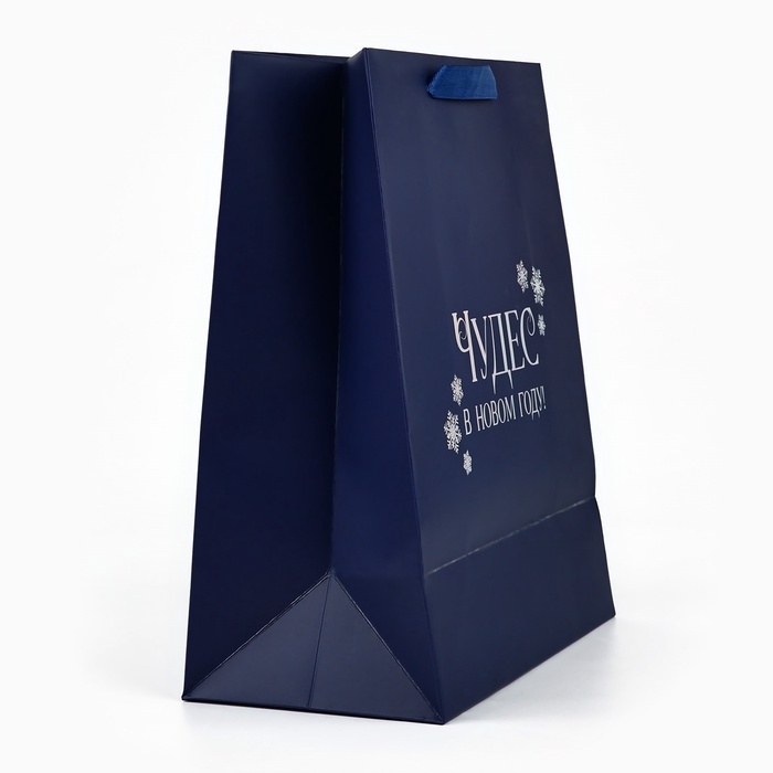 Пакет подарочный новогодний &laquo;Чудес в Новом году&raquo;, голография, ML 23 х 11.5 х 27 см, Новый год