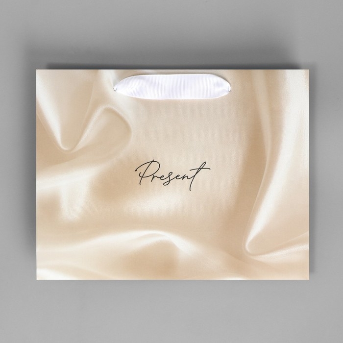 Пакет подарочный, упаковка, &laquo;Present&raquo;, 22 х 17.5 х 8 см