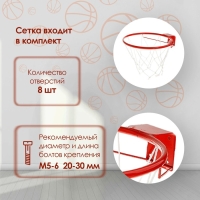 Корзина баскетбольная №5 &laquo;Люкс&raquo;, d=380 мм, с упором и сеткой