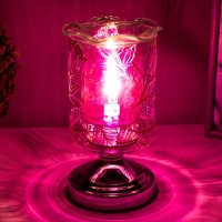 Аромасветильник сенсорный "Бутон" G9 35Вт серебро 10,5х10,5х20 см RISALUX Аромасветильник сенсорный "Бутон" G9 35Вт серебро 10,5х10,5х20 см RISALUX