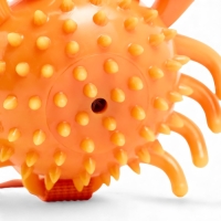 Игрушка массажная для собак "Краб" 12 см, ТПР, микс цветов Игрушка массажная для собак "Краб" 12 см, ТПР, микс цветов