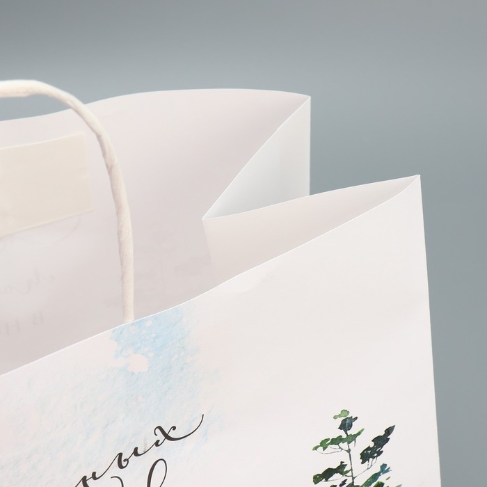 Пакет подарочный новогодний крафтовый &laquo;Сказка&raquo;, 32 х 28 х 15 см, Новый год