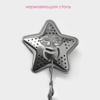 Сито из нержавебщей стали для чая Доляна &laquo;Звезда&raquo;, 16,5 см, цвет серебряный