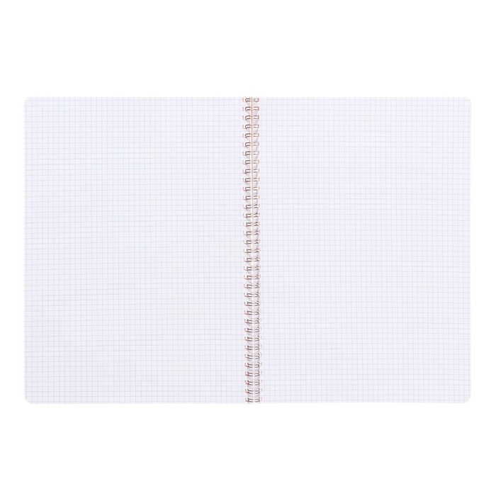 Тетрадь на гребне A4 60 листов в клетку Calligrata Оранжевая, пластиковая обложка, блок офсет Тетрадь на гребне A4 60 листов в клетку Calligrata Оранжевая, пластиковая обложка, блок офсет