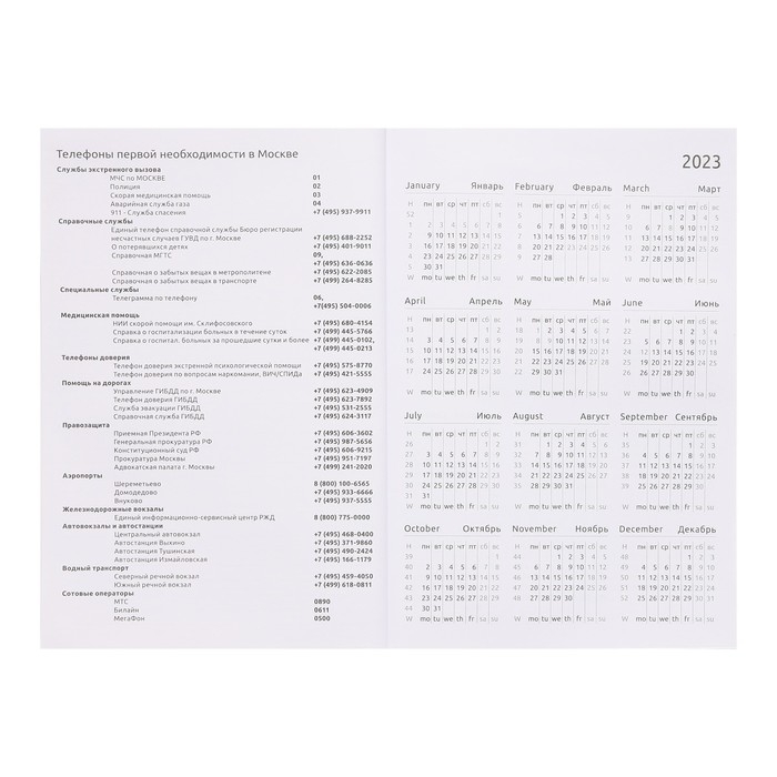 Ежедневник датированный 2024 года, А5, 176 листов, Attomex.Regent, обложка бумвинил, ляссе, блок 70 г/м2, коричневый