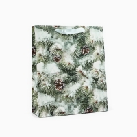Пакет подарочный новогодний ламинированный &laquo;Зимняя ель&raquo;, M 26 х 30 х 9 см , Новый год
