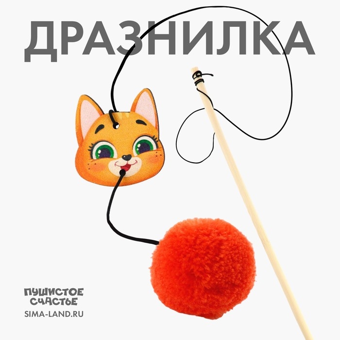 Дразнилка с деревянной подвеской &laquo;Мордочка&raquo;, 4 см