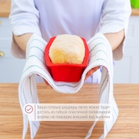 Форма для выпечки Доляна &laquo;Хлеб&raquo;, силикон, 25,5&times;13&times;5 см, внут.размер 20,5&times;11 см, цвет красный