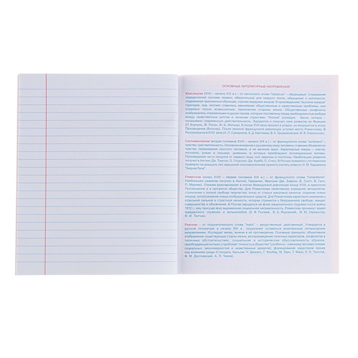 Тетрадь предметная "Домино", 48 листов в линейку, "Литература", обложка пластиковая, блок офсет