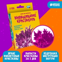 Выращивание кристаллов «Опыты. Лучистый кристалл», цвет фиолетовый Выращивание кристаллов «Опыты. Лучистый кристалл», цвет фиолетовый