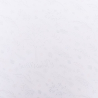 Новый год. Бумага упаковочная новогодняя глянцевая "Веточки ", 70 х 100 см.