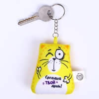 Брелок-антистресс «Сегодня твой день!», кот, 6х7 см Брелок-антистресс «Сегодня твой день!», кот, 6х7 см