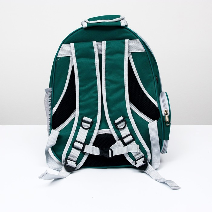 Рюкзак для переноски кошек и собак, прозрачный, 31 х 28 х 42 см, зелёный Рюкзак для переноски кошек и собак, прозрачный, 31 х 28 х 42 см, зелёный