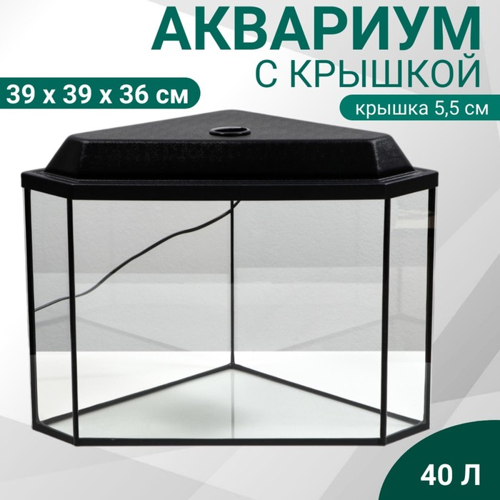 Аквариум Аквариум "Дельта" угловой с крышкой, 40 литров, 39 х 39 х 36/41,5 см, чёрный